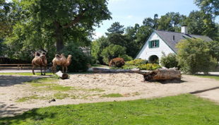 zoo krefeld trampeltieranlage