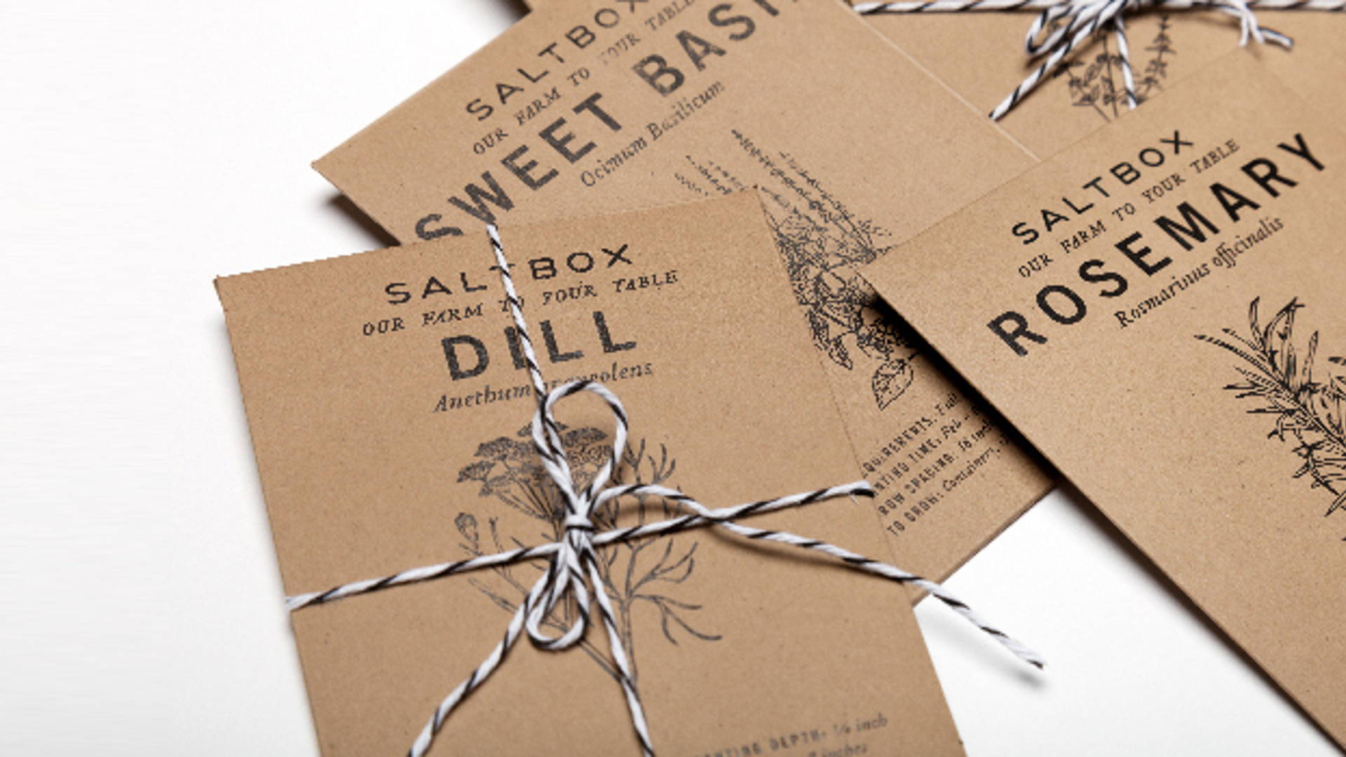 Featured image for Salt Box