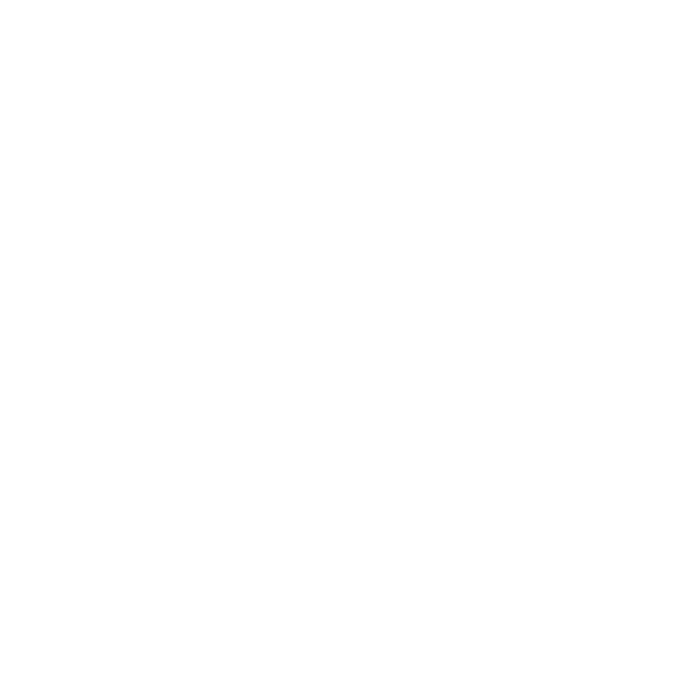 Allison Flores Logo