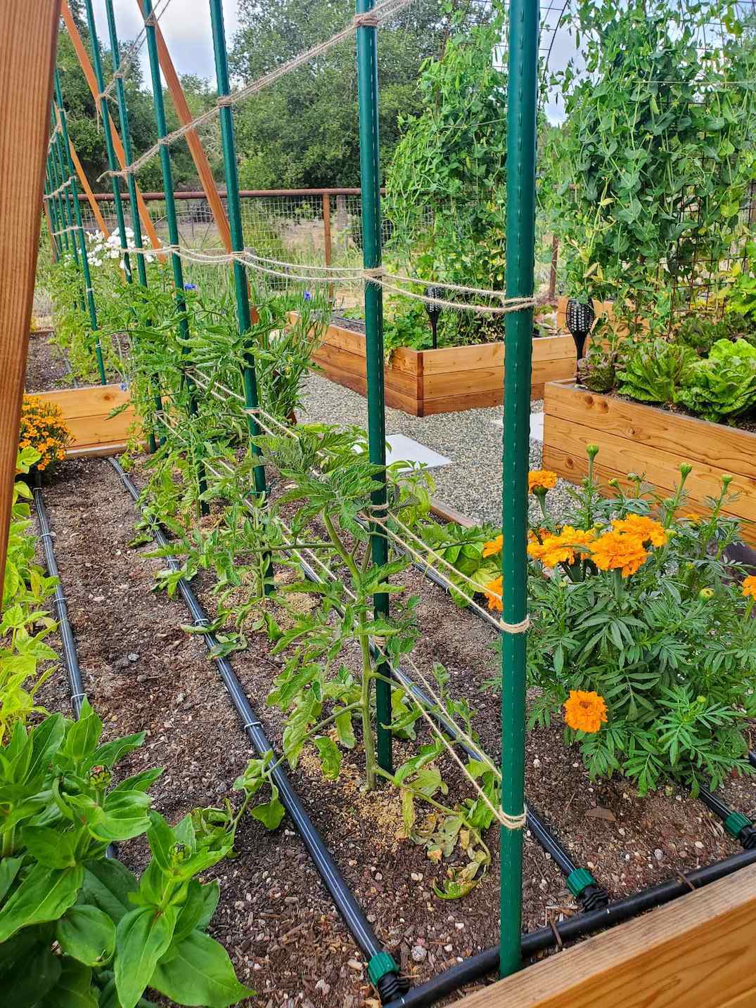 natural fiber agriculture applications