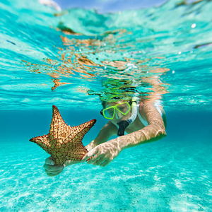Honeymoon Snorkeling on Costa Rica's Pacific Coast