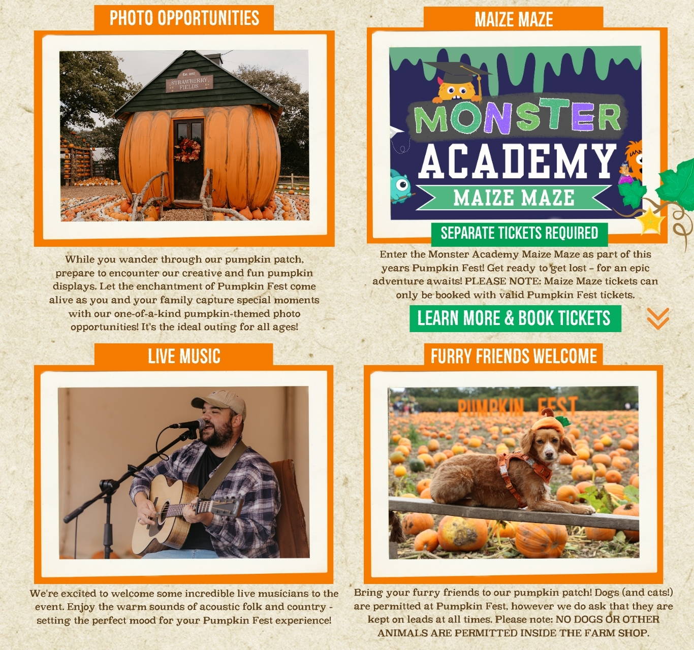 Discover the biggest and best pumpkin festival in Devon & Cornwall, and South West! Pumpkin Fest at Strawberry Fields is the ultimate family day out with a huge pumpkin patch, pumpkin picking, maize maze, barrel train rides, photo spots, tasty autumn treats & fun for all ages. Book now!