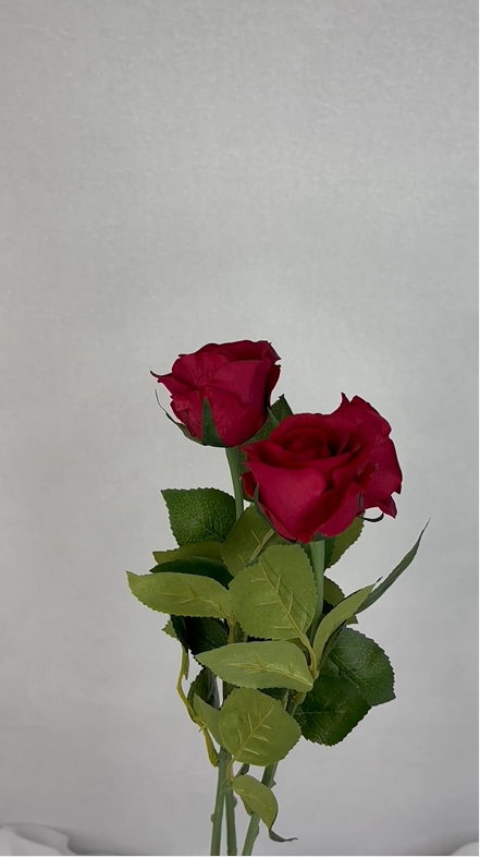 Passion Frangipani Flowerhead ( 6 Pack ) - Realistic Artificial Flowers - Image 2