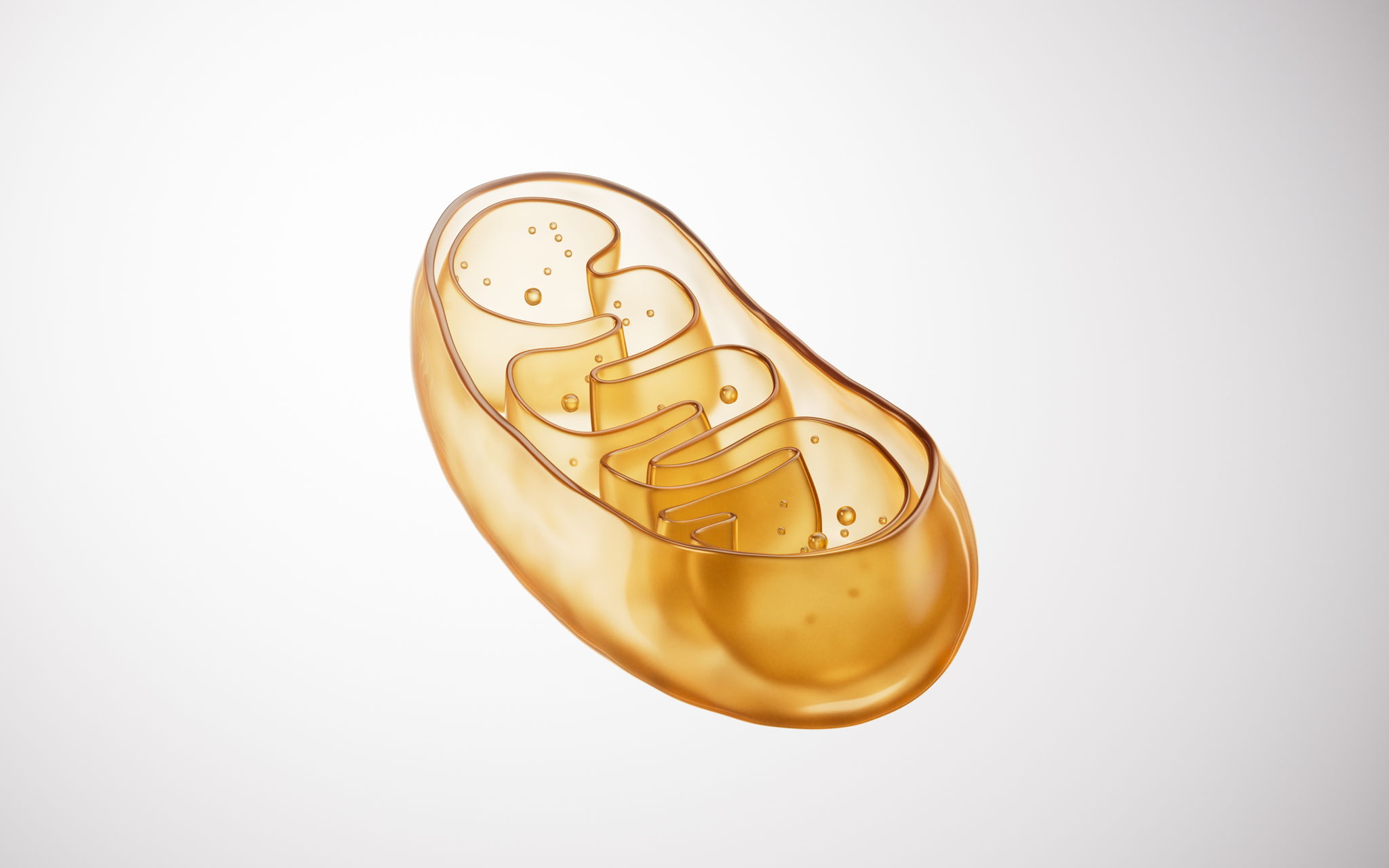 Mitochondrial Health 101: Caring for Your Cells’ Powerhouses -