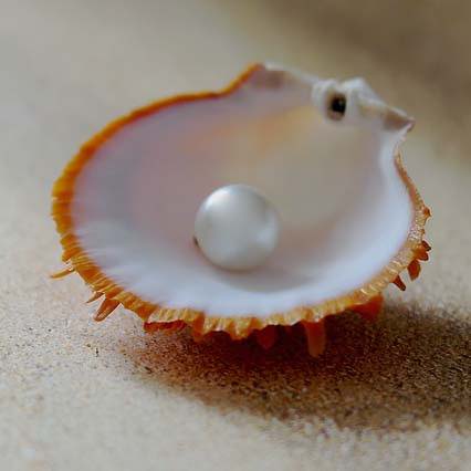 Pearl vegan jewellery