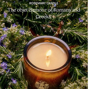 Flamingo Estate Climbing Tuscan Rosemary Candle