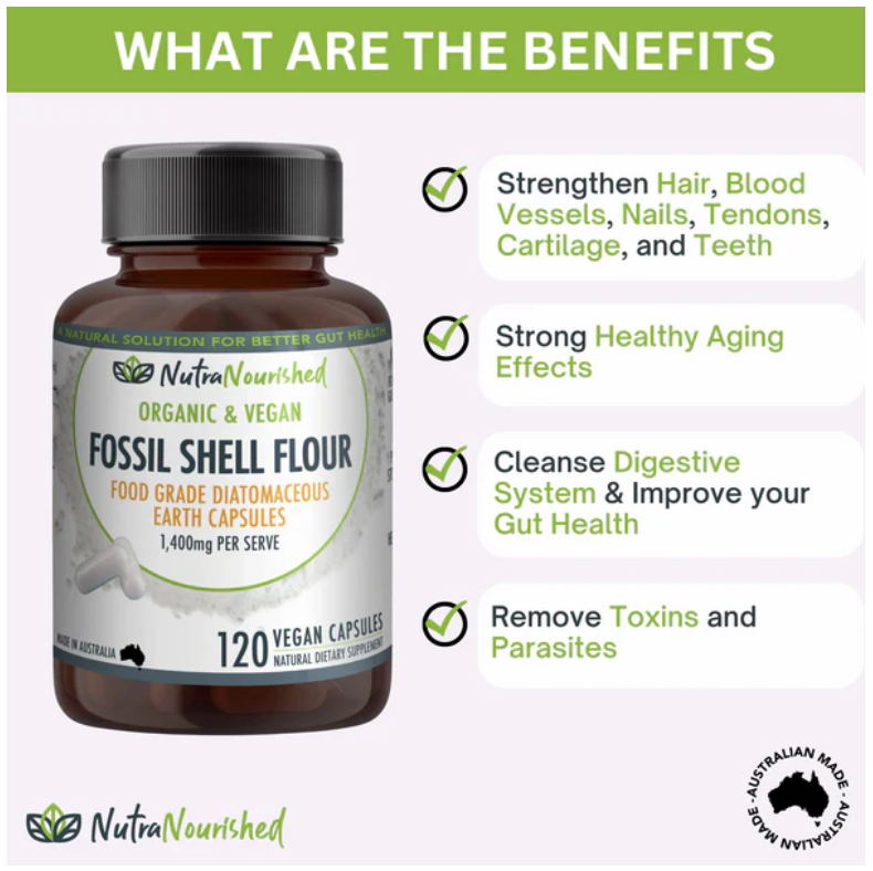 Food Grade Diatomaceous Earth Fossil Shell Flour - Image 3