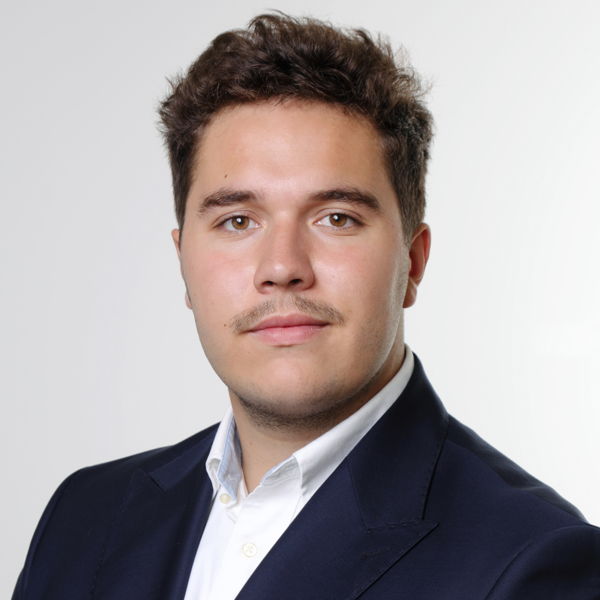 Mathis Laflamme-Picherie