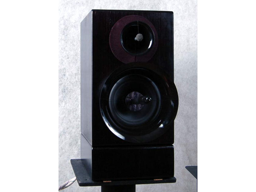 Wavetouch Audio Grand Teton SE Transparent sounding speaker.