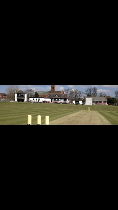 Daisy hill Cricket Club Cricket Club Logo