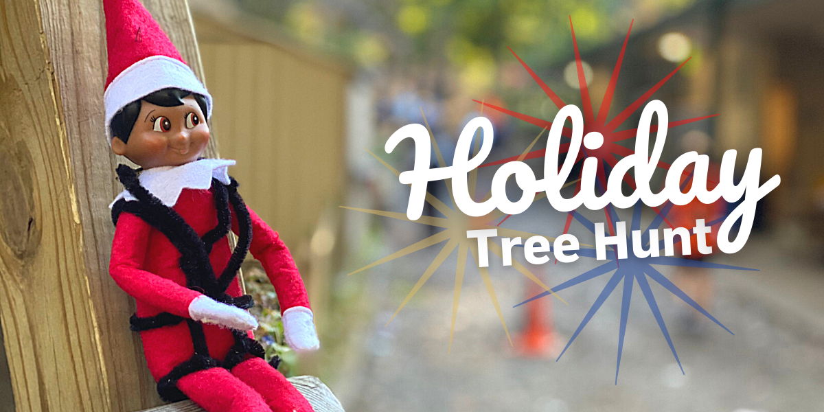 Holiday Tree Hunt at The Adventure Park promotional image