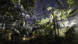 zoo krefeld nachtsafari