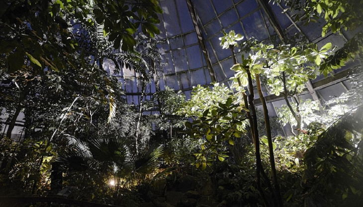 zoo krefeld nachtsafari