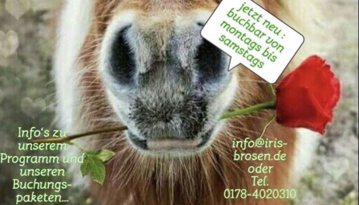 iris brosen pferd kindergeburtstag feiern