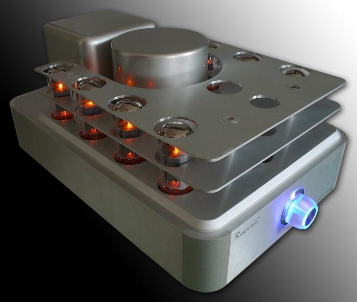 Raysonic M-100 Tube Monoblock Power Amplifier 4