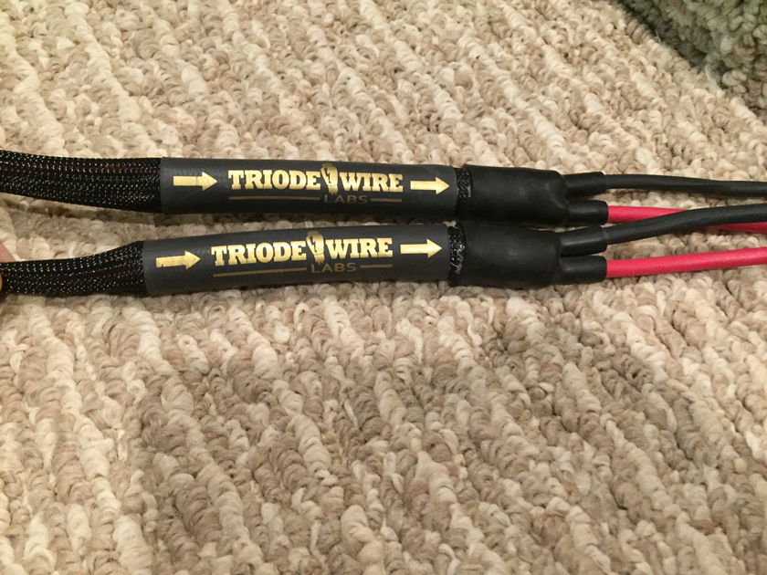 Triode Wire Labs American Speaker Cable 12 feet