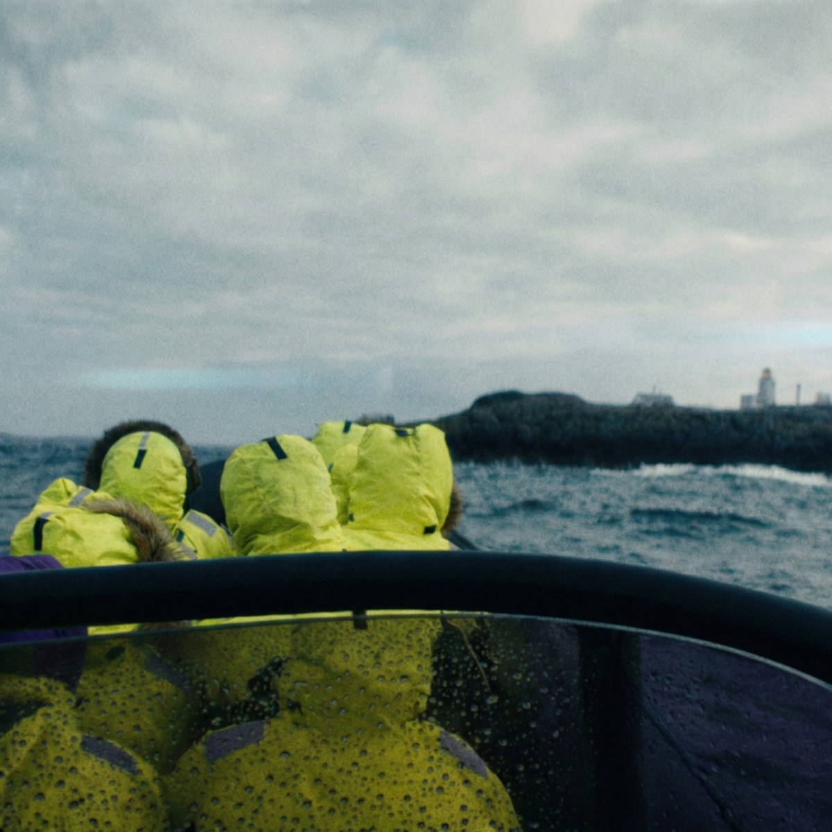 RIB-turer på fjorden