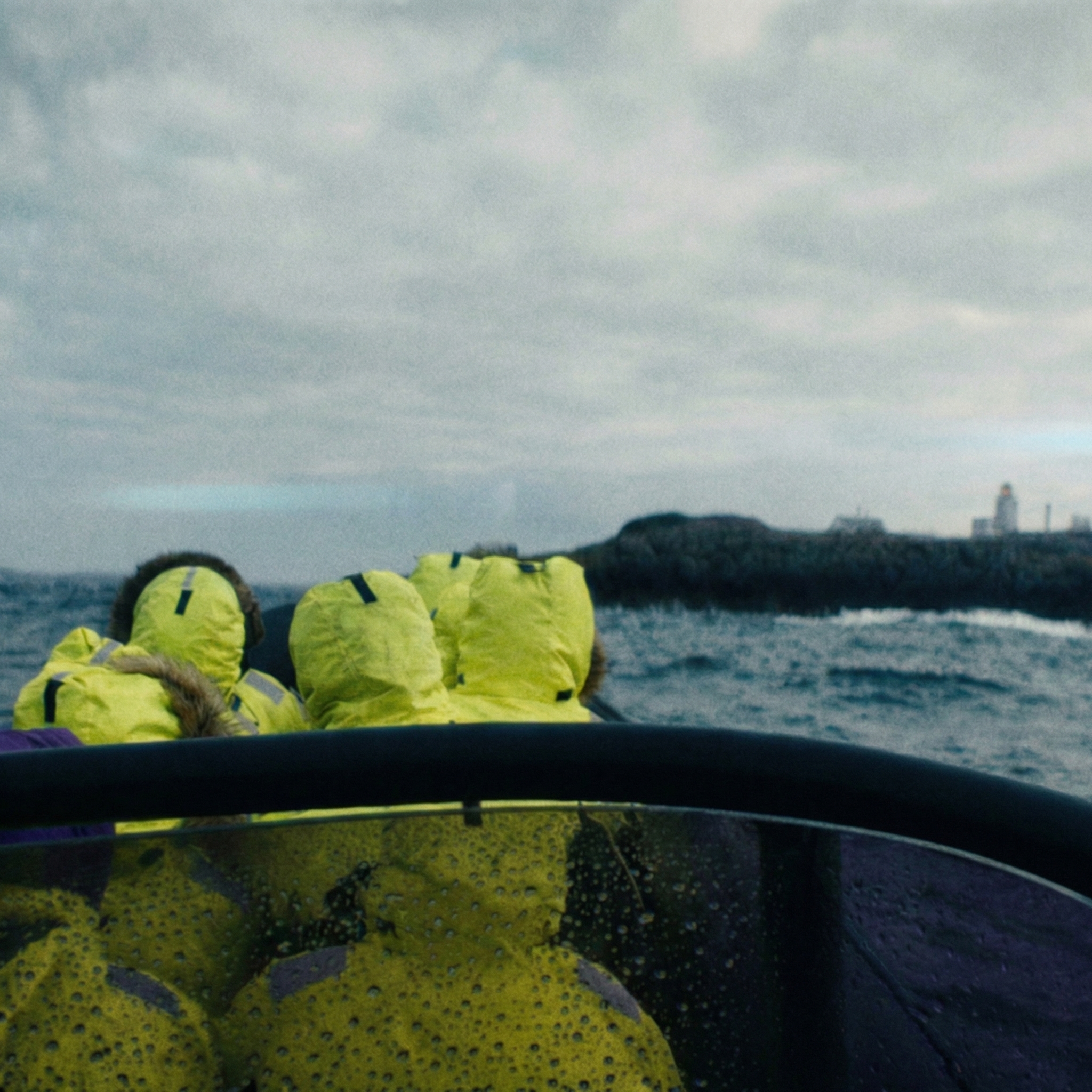RIB-turer på fjorden