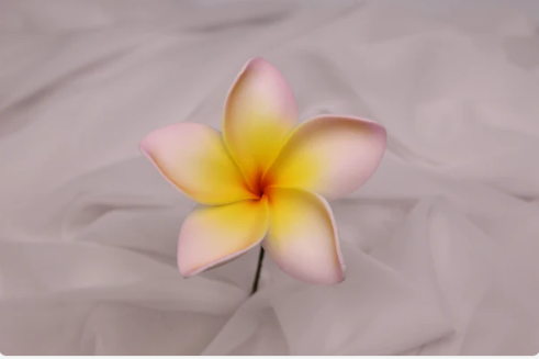 Blushing Sunrise Frangipani Real Touch (6 Pack) - Realistic Artificial Flowers