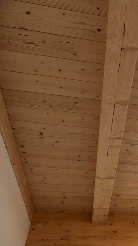 Wir bauen nicht nur mit Holz — wir bauen mit der Natur