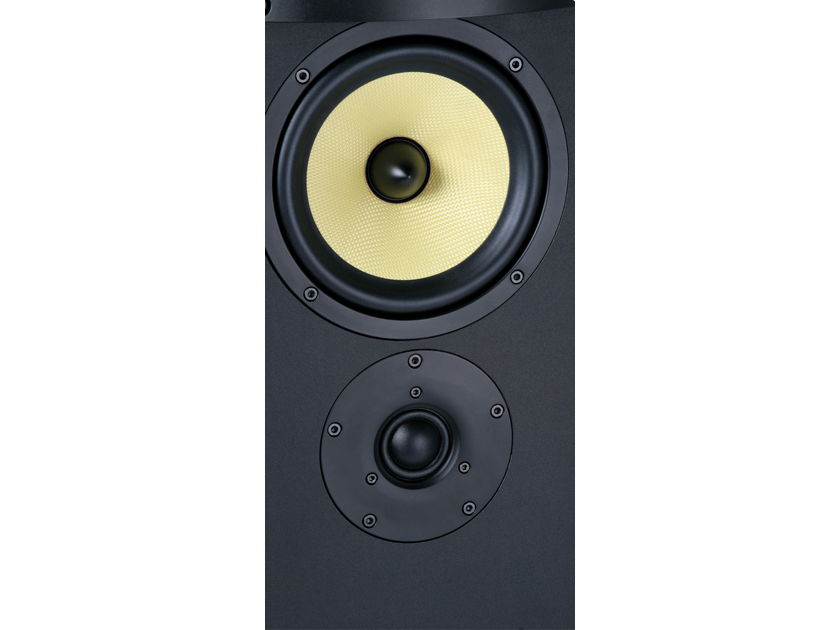 DCM Time Frame TFE-200 Tower Speakers PAIR- MINT!! Amazing sound!!