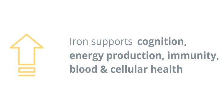iron supports health