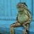 chilledfrogs
