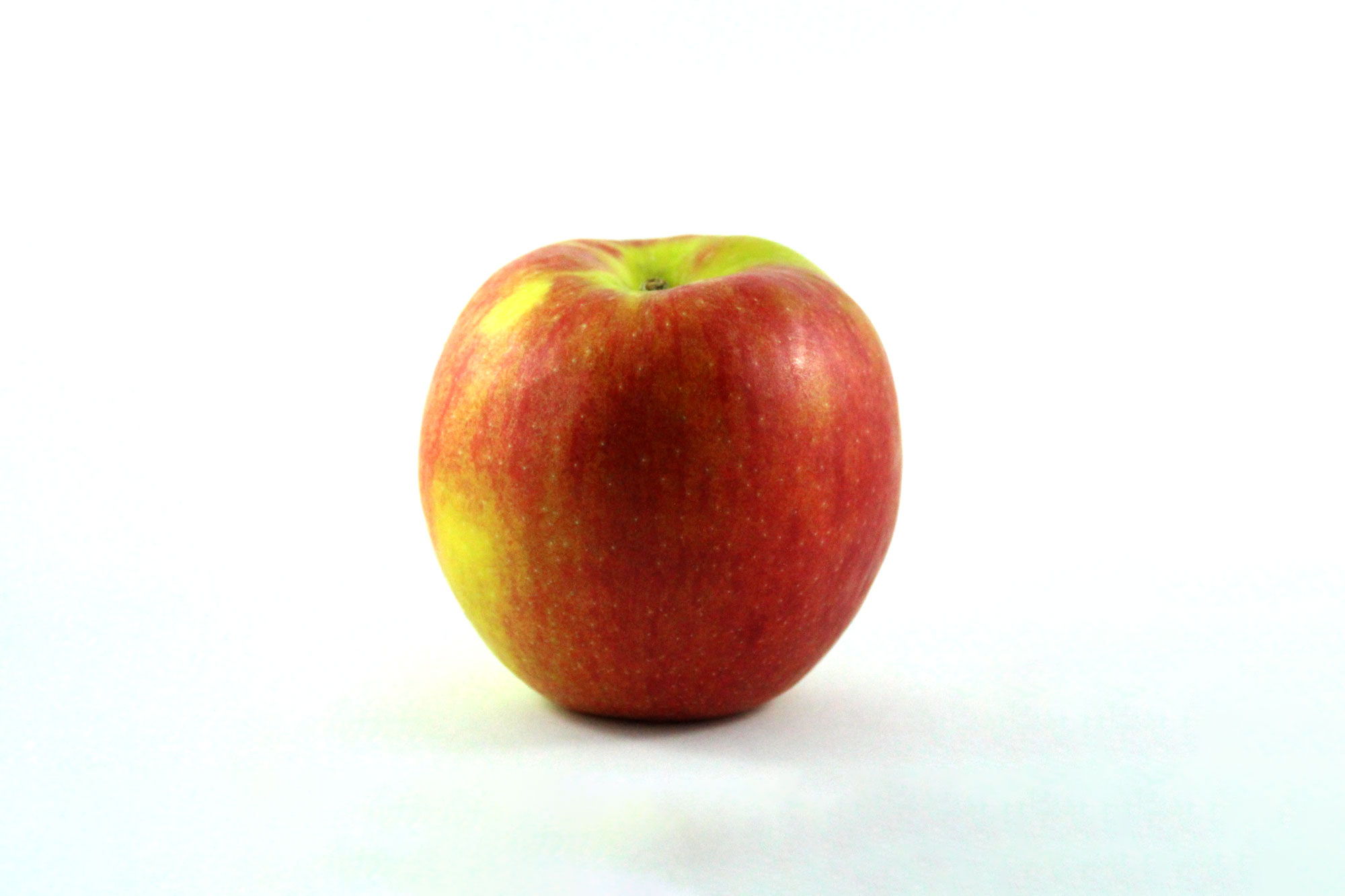 Jonagold Apples - Souto Farms Fresh BC Fruit