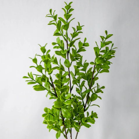 Brush Box - Realistic Artificial Flowers and Greenery - Image 2
