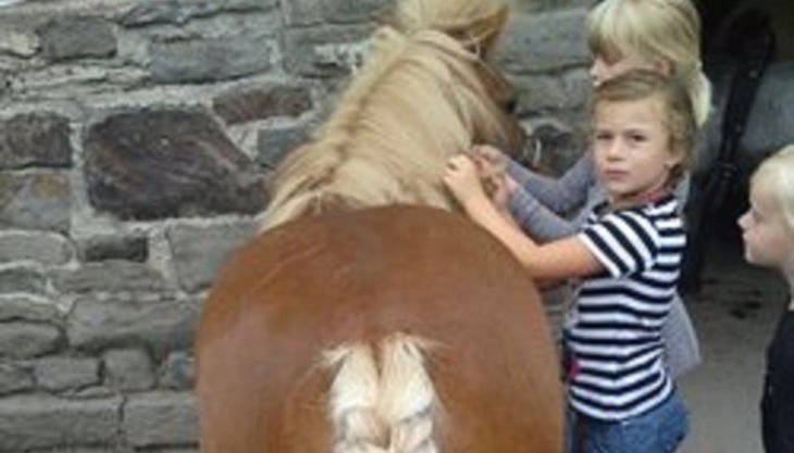 die reitzwerge kinder pflechten pferd zöpfe