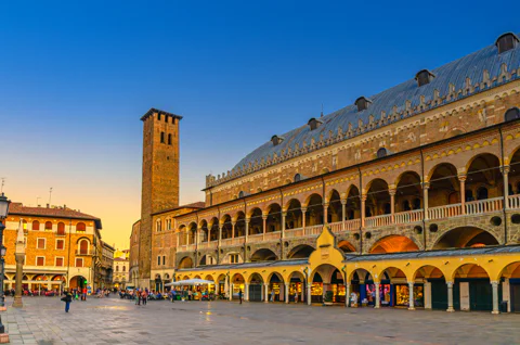 Day Trip by train from Venice to Padua. Private tour