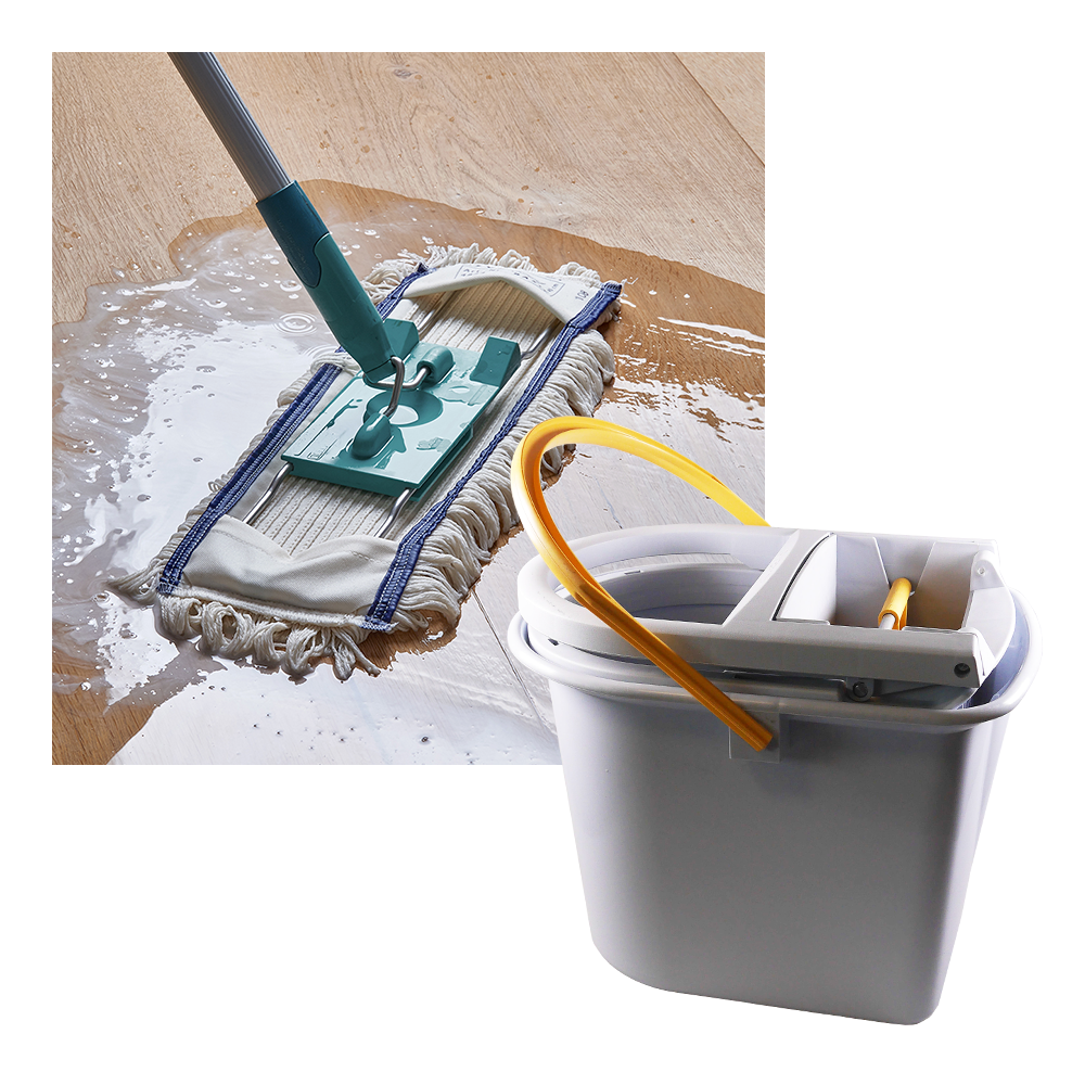 Combined image of floor mop and mop bucket