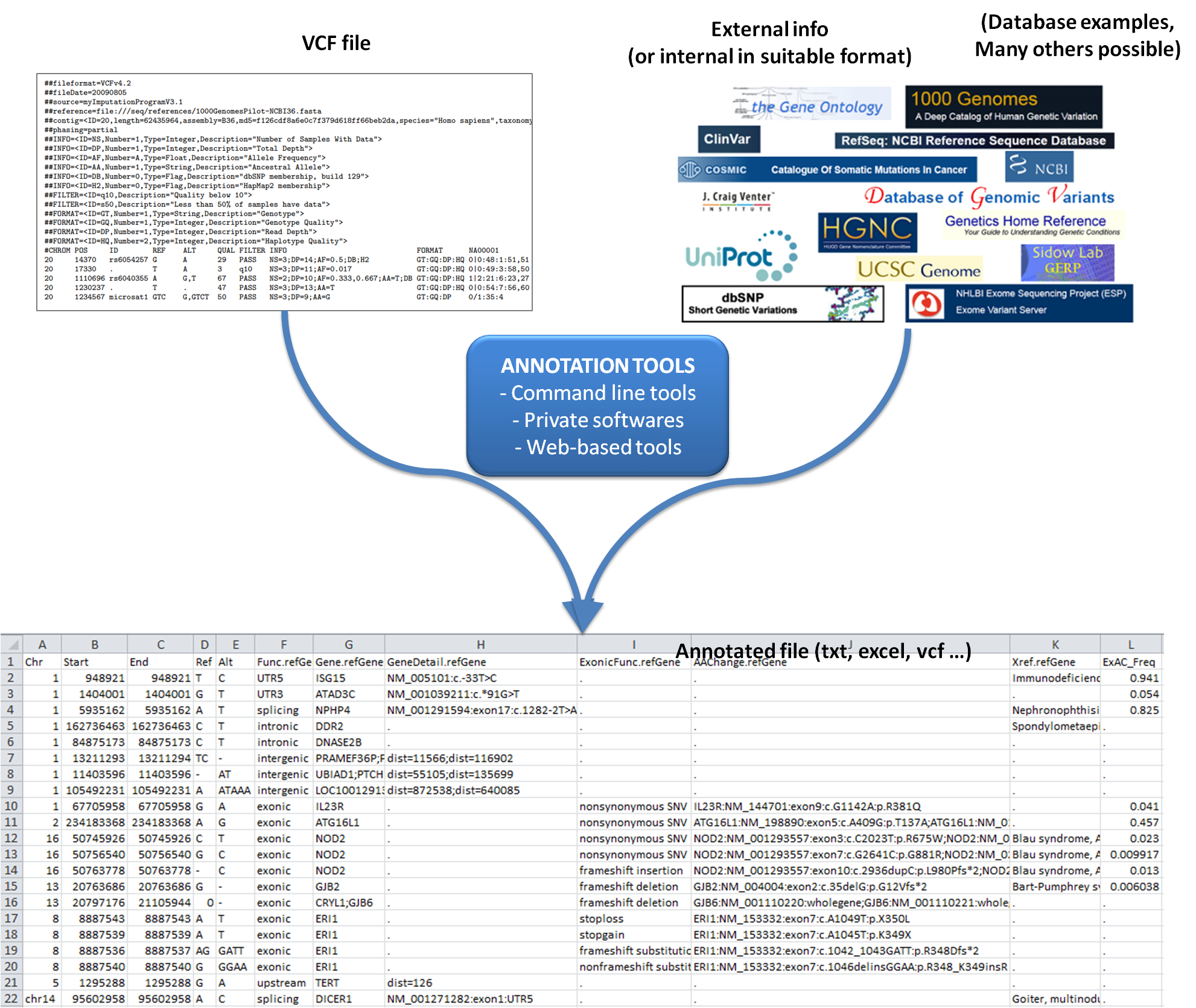 Overview - Variant annotation and interpretation — Step 1 — Cogniterra