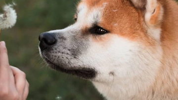 Main Content Image