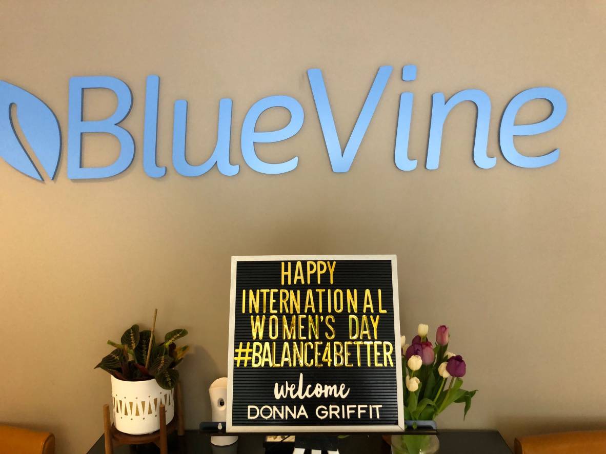 About bluevine