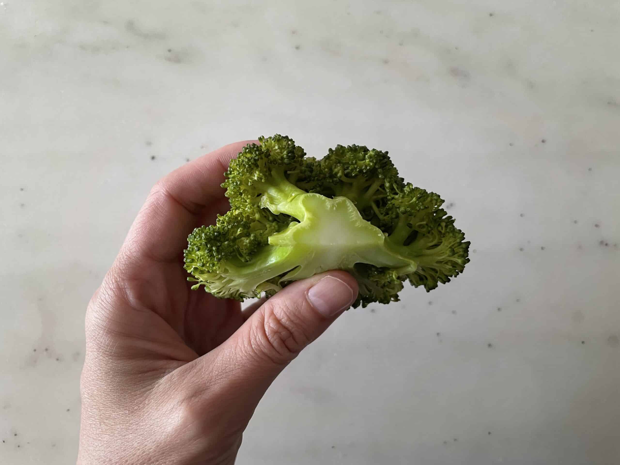 dogs can choke on broccoli