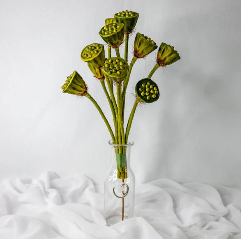 Lotus Pod - Realistic Artificial Flowers and Greenery - Image 2