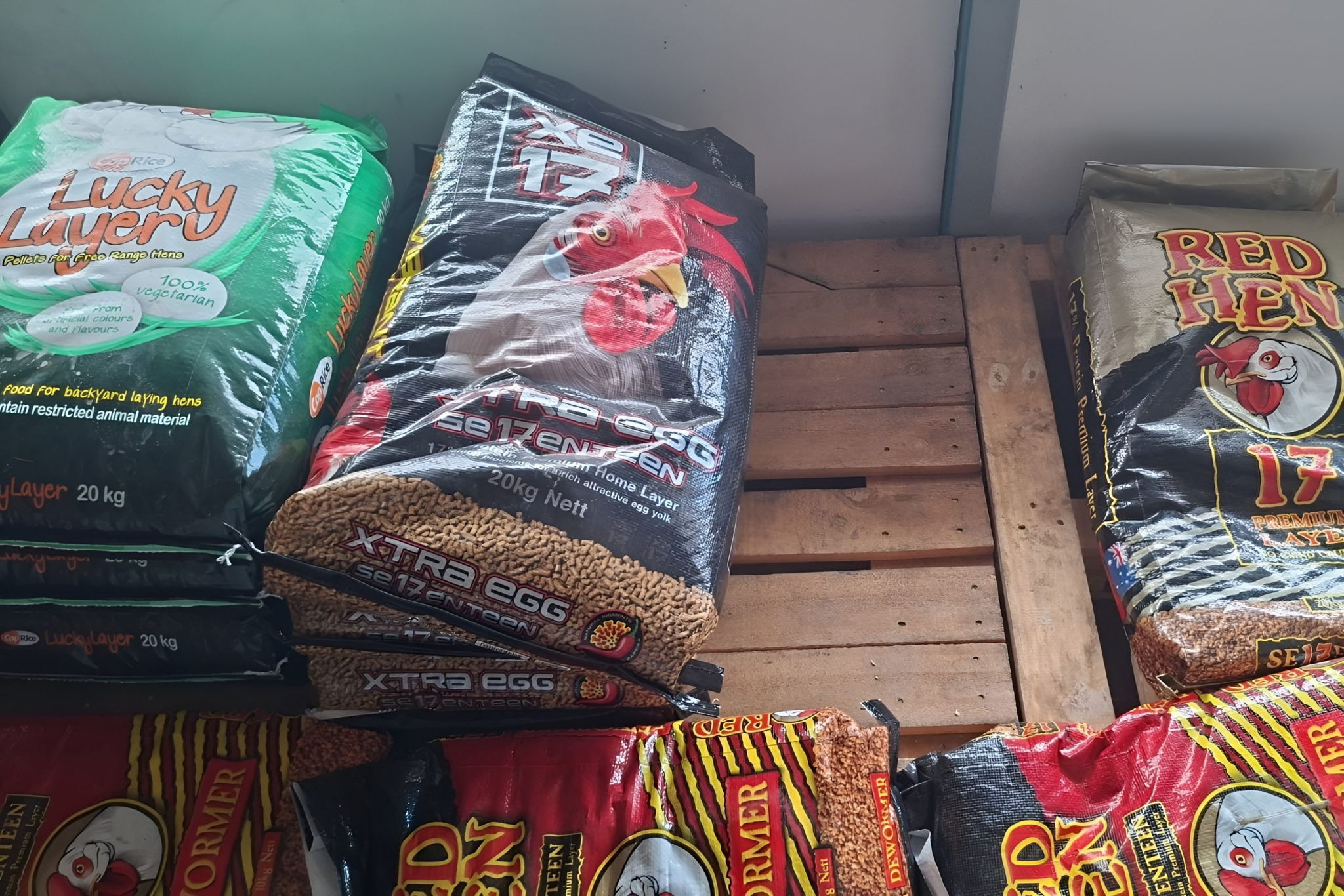 Pet Menu $10 Vouchers - Image 5