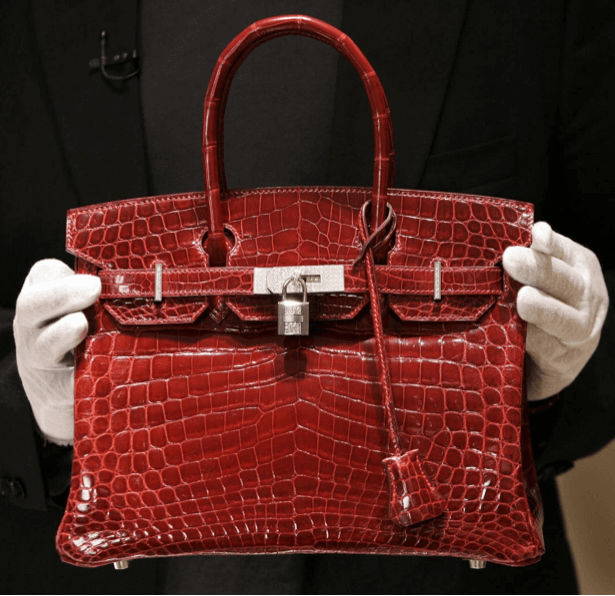 snakeskin hermes birkin