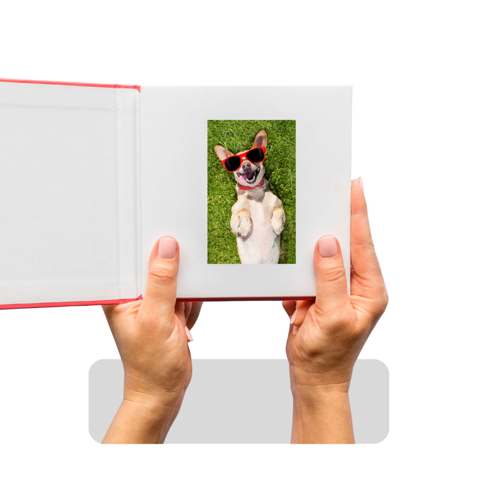 Dog Video Book