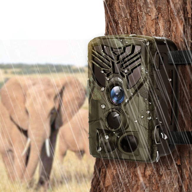 Wifi Wildlife Trail Camera For Sale