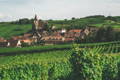 Paysage alsacien avec vignobles et village charmant