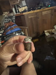 Cigar Session Photo