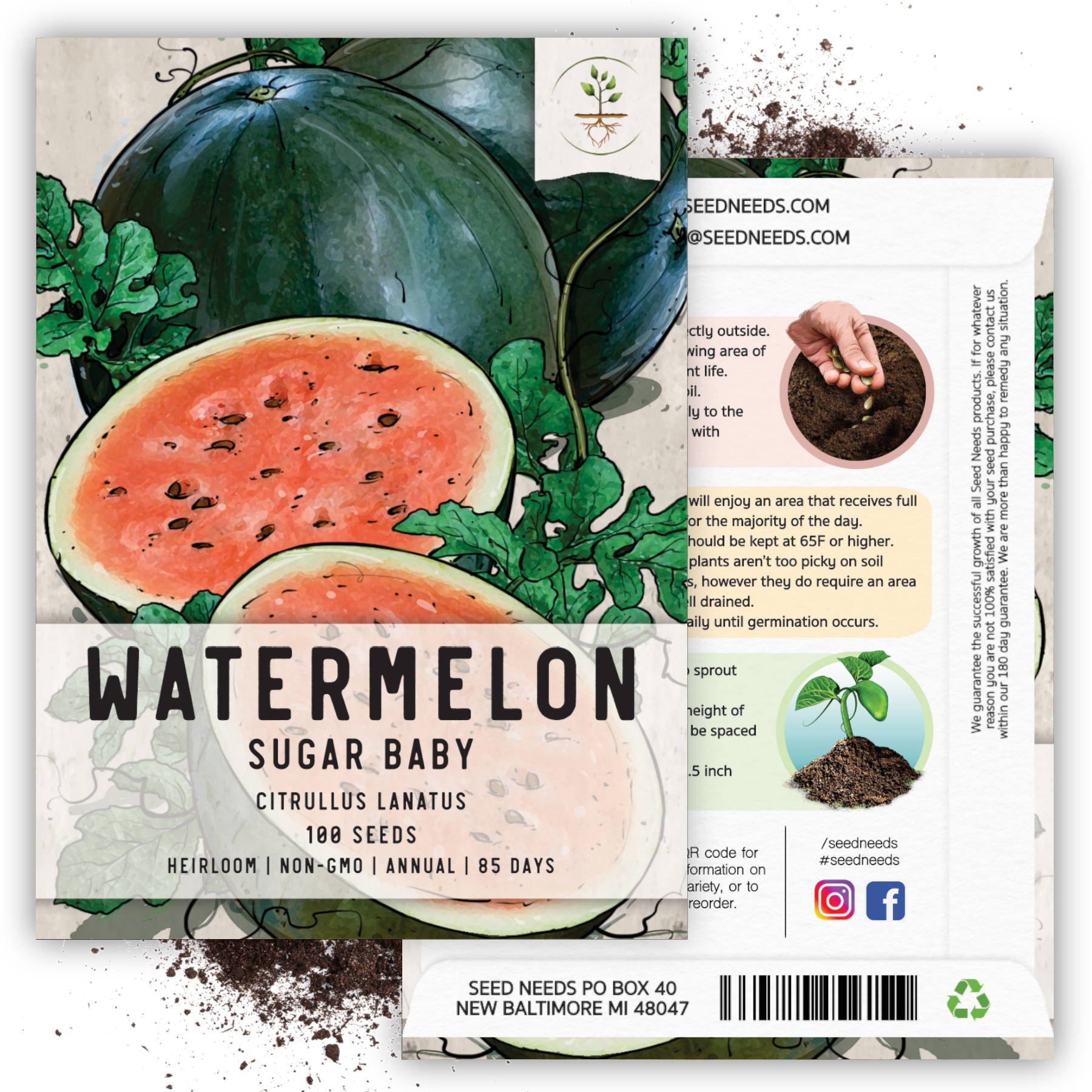 Watermelon (Cucurbita Citrullus) Tincture, Organic Dried Seeds Liquid Extract