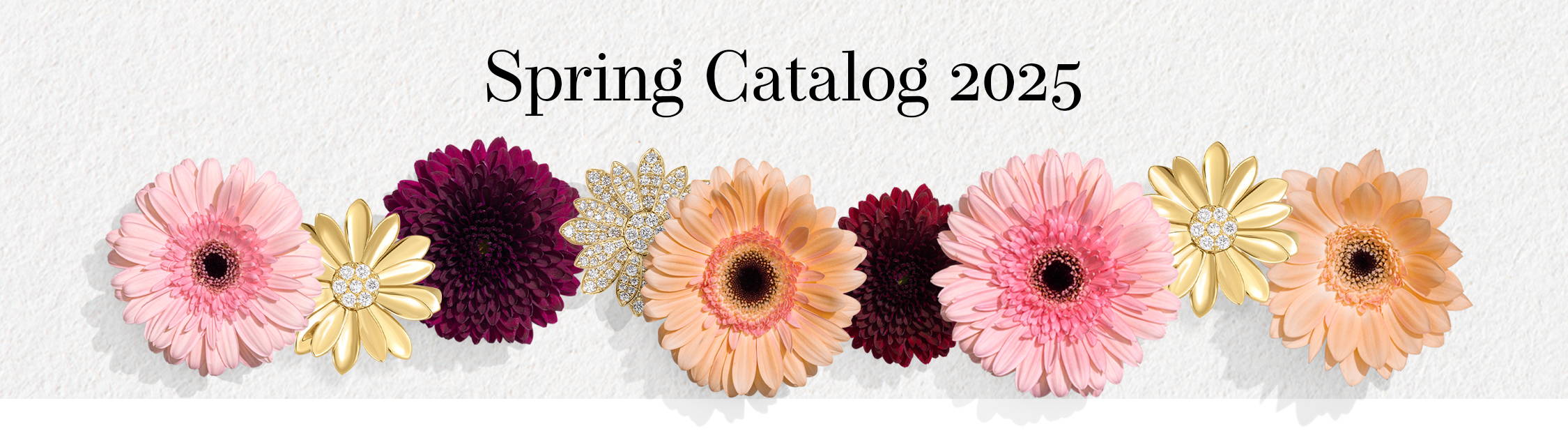 2025 Spring Catalog Banner 2025 Spring Catalog Banner