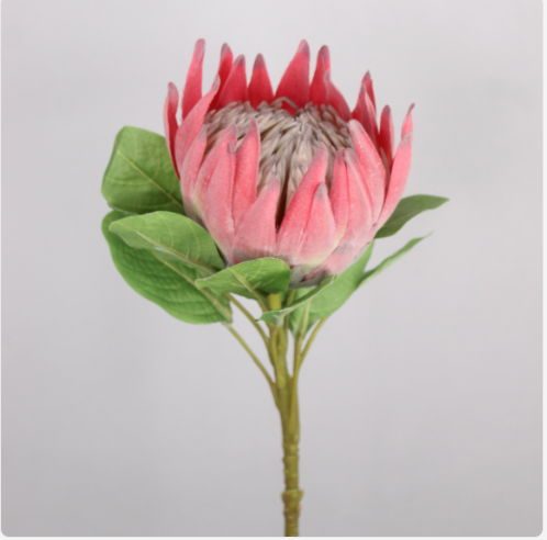 King Protea - Realistic Artificial Flowers - Image 2