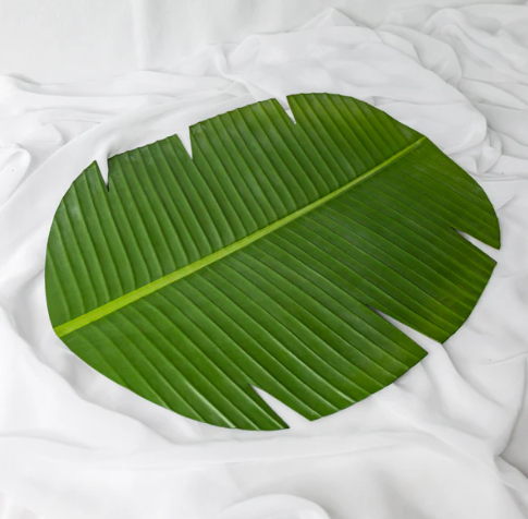 Banana Leaf Placemat (6 Pack) - Realistic Artificial Flowers and Greenery - Image 3