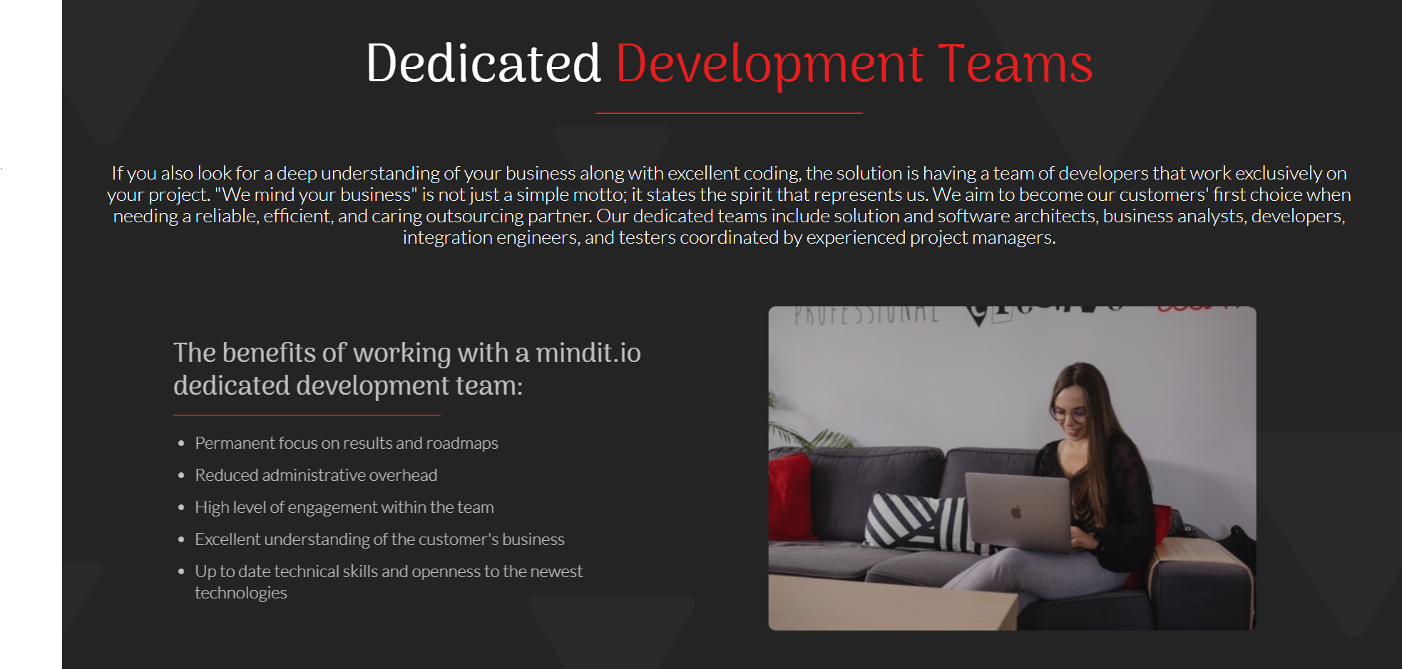 mindit product / service