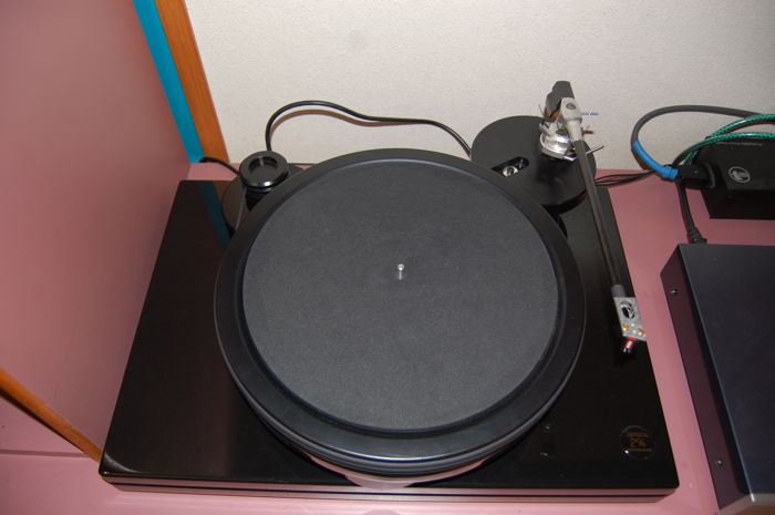 Nottingham Analogue Space 294 with 12" Ace Space Tonearm