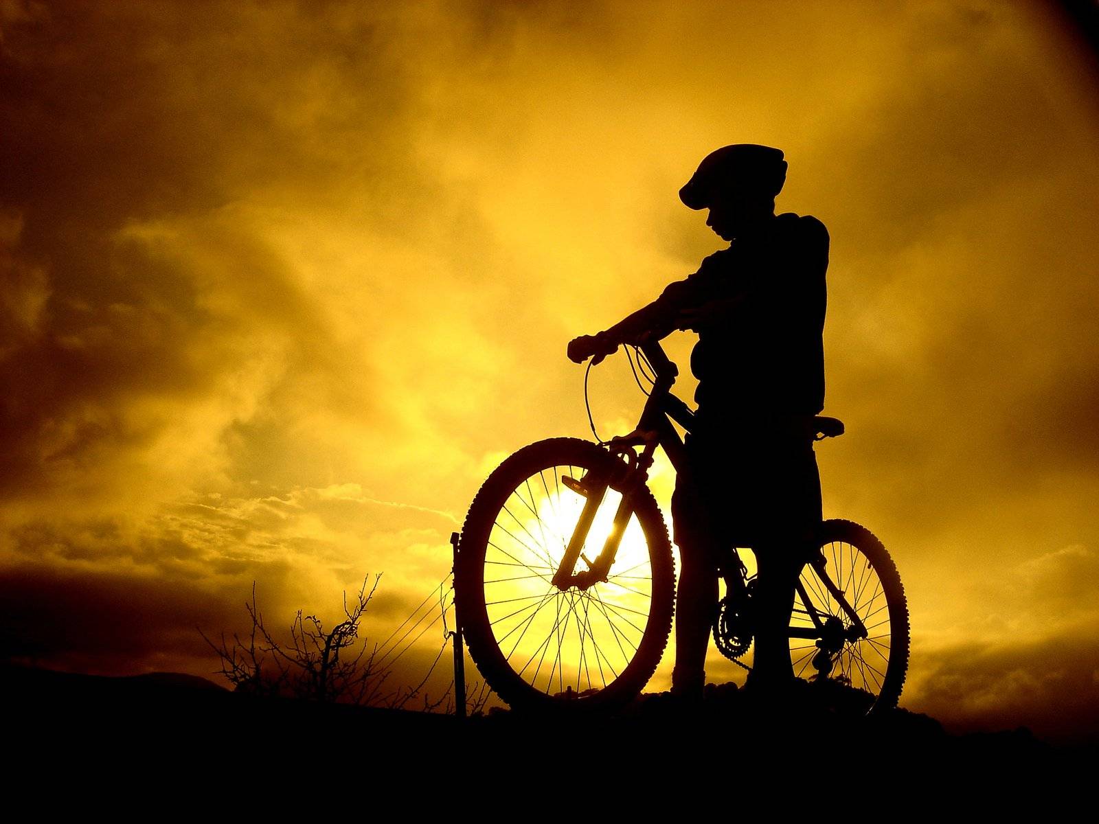 safest bike for seniors